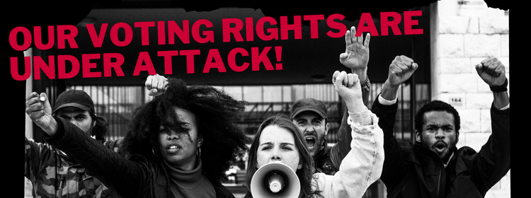 Read more about the article January Newsletter: Our voting rights are under attack!